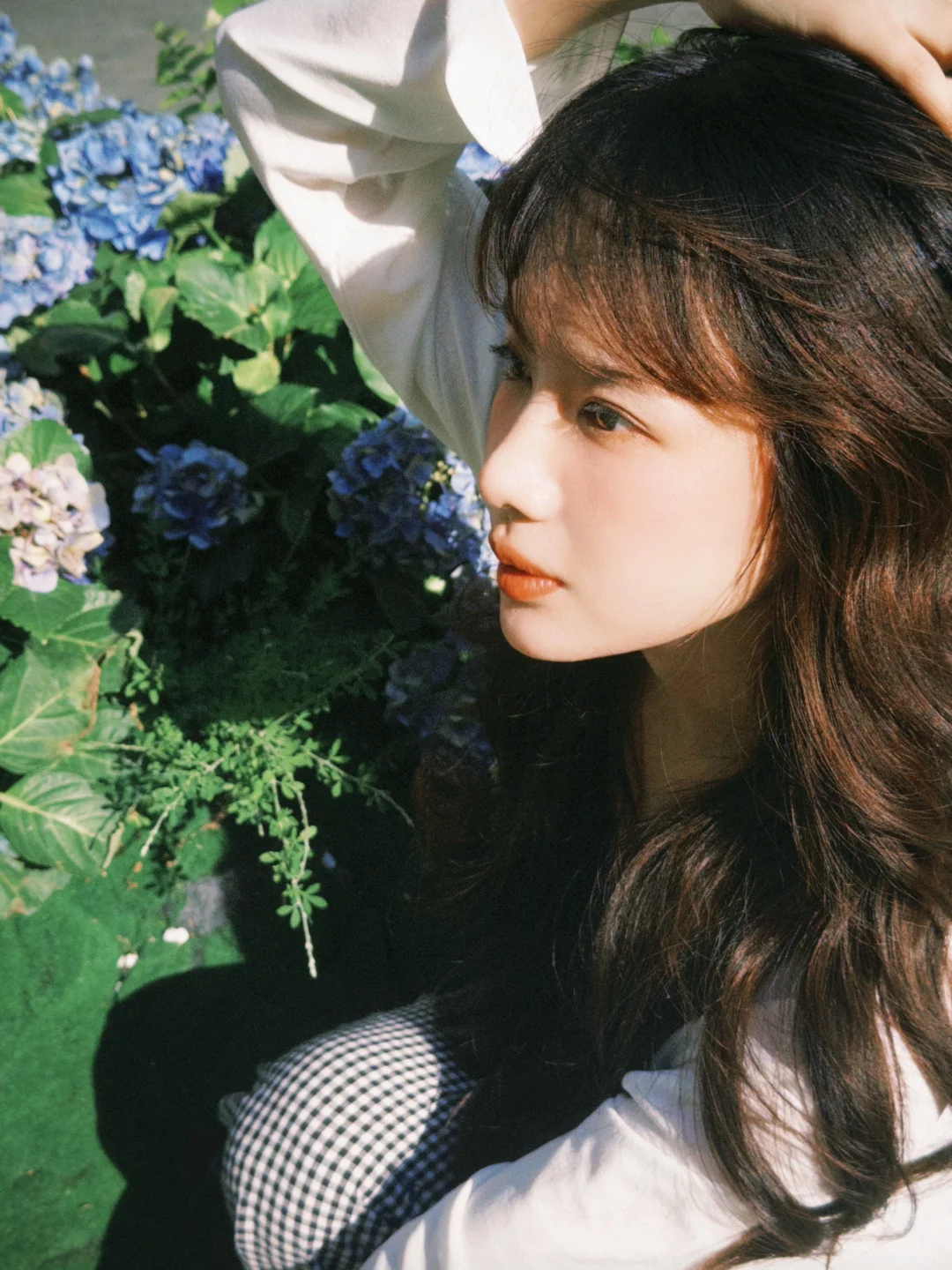 🎞️Dazz我将永远追随你