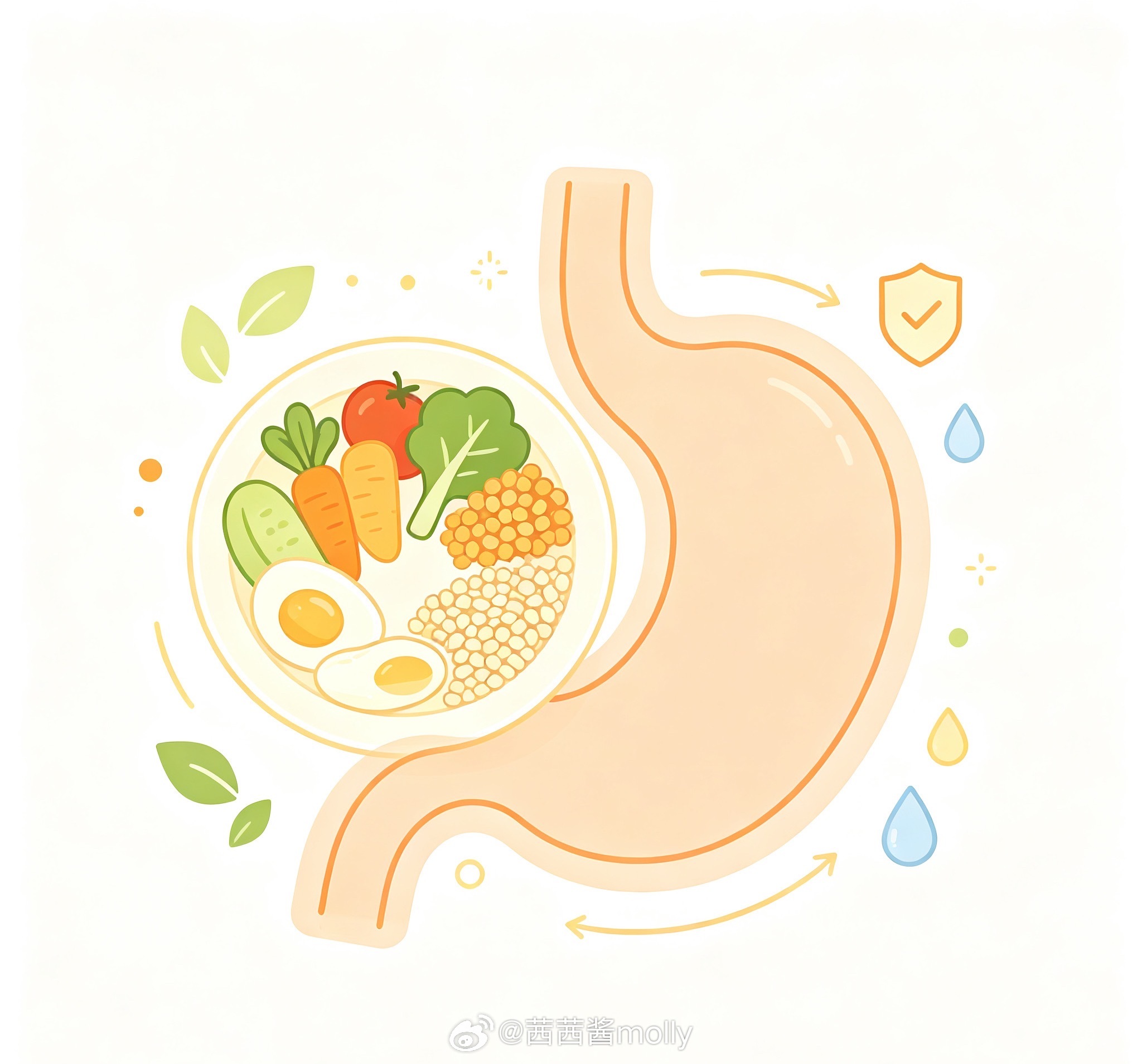 胃癌在早期没有明显症状胃癌早期大多没有典型不适感，很容易被忽略。就算偶尔胃胀、嗳气，大家也常会当成普通胃炎，随便吃点胃药应付。等到出现明显疼痛、体重下降时，病情往往已经进展。尤其是有幽门螺杆菌感染、胃病家族史、长期饮食不规律的高危人群，定期做胃镜筛查，才是发现早期胃部病变最可靠的办法。胃癌在早期没有明显症状