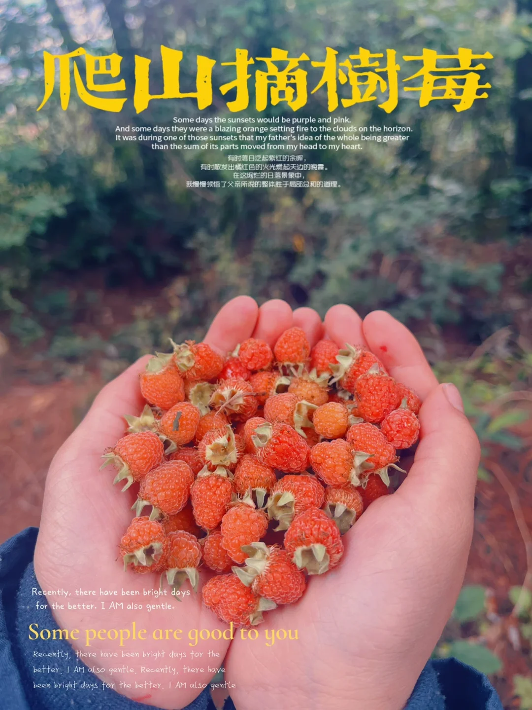 重庆遛娃｜野生树莓是自然的馈赠（图示线路