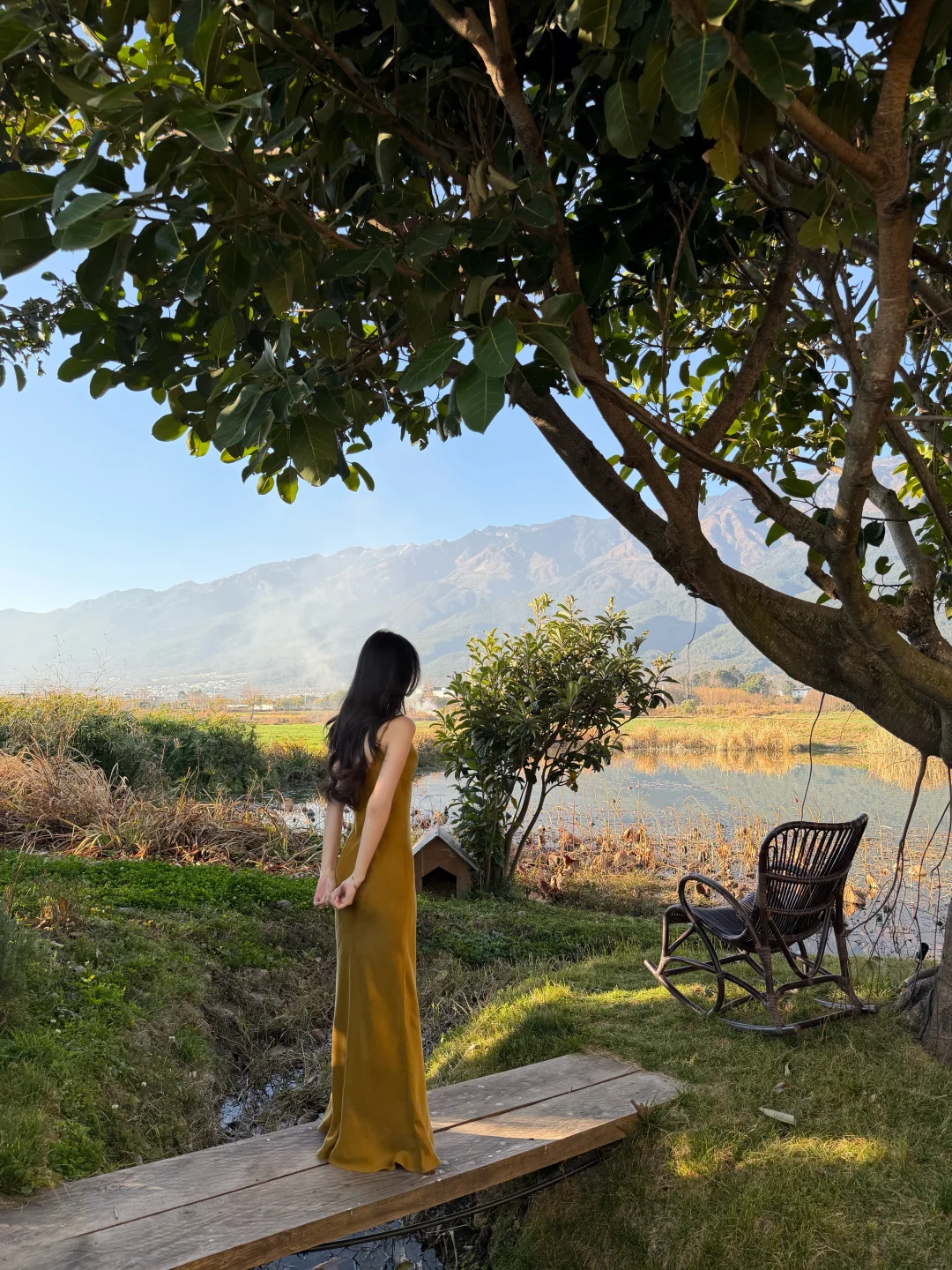 绿植 湖水 金色 和 我