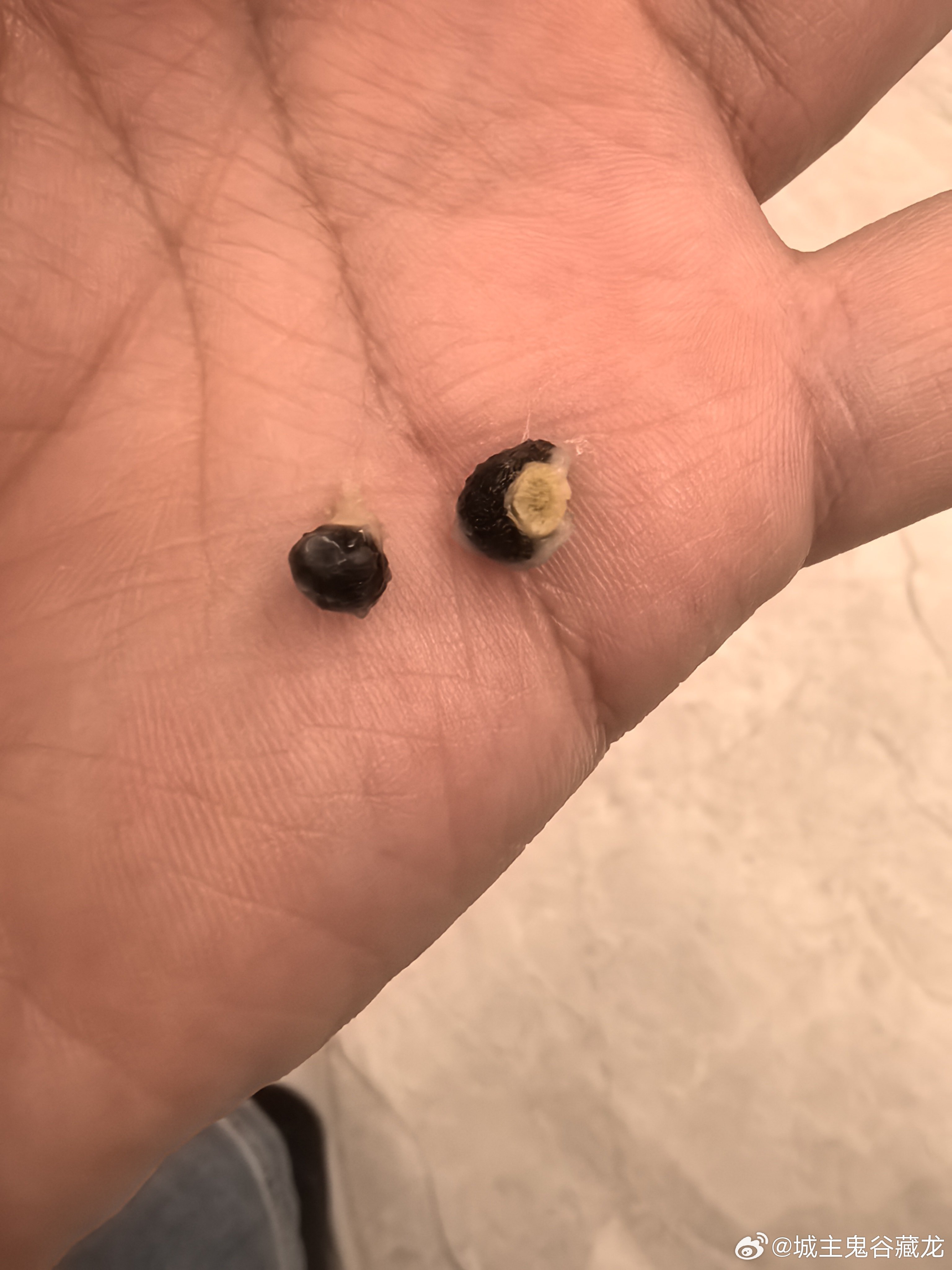 第一次吃到有籽香蕉 ​​​
