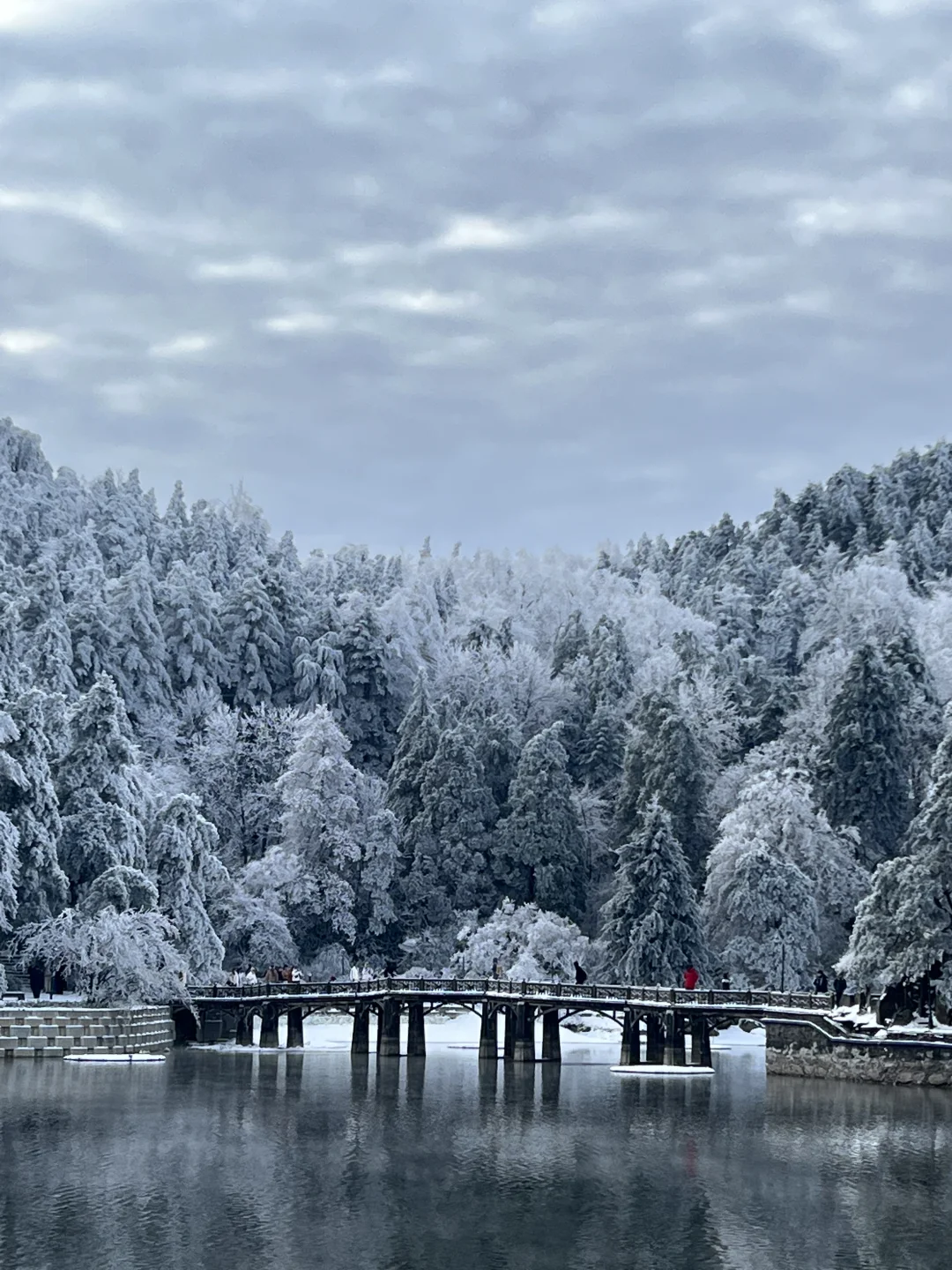 一到冬天❄️庐山就是掌管雪景的神👺【1.26】