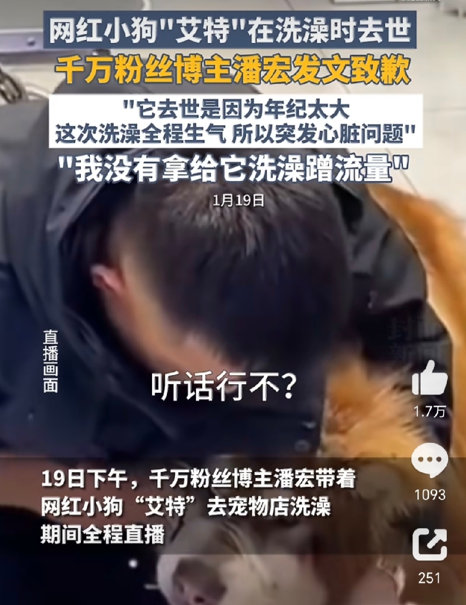 潘宏账号重新更新了。赔偿款对方说收到了，判决书要求的置顶道歉还没见。千万粉训犬博主把钱凑齐了，那行字却留在原地。
 
这事得从今年八月说起。济南市中级人民法院二审落槌，维持了一审的两项：在抖音账号置顶向&