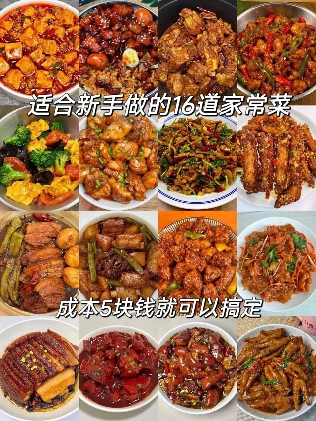 适合新手做的16款家常菜！！！