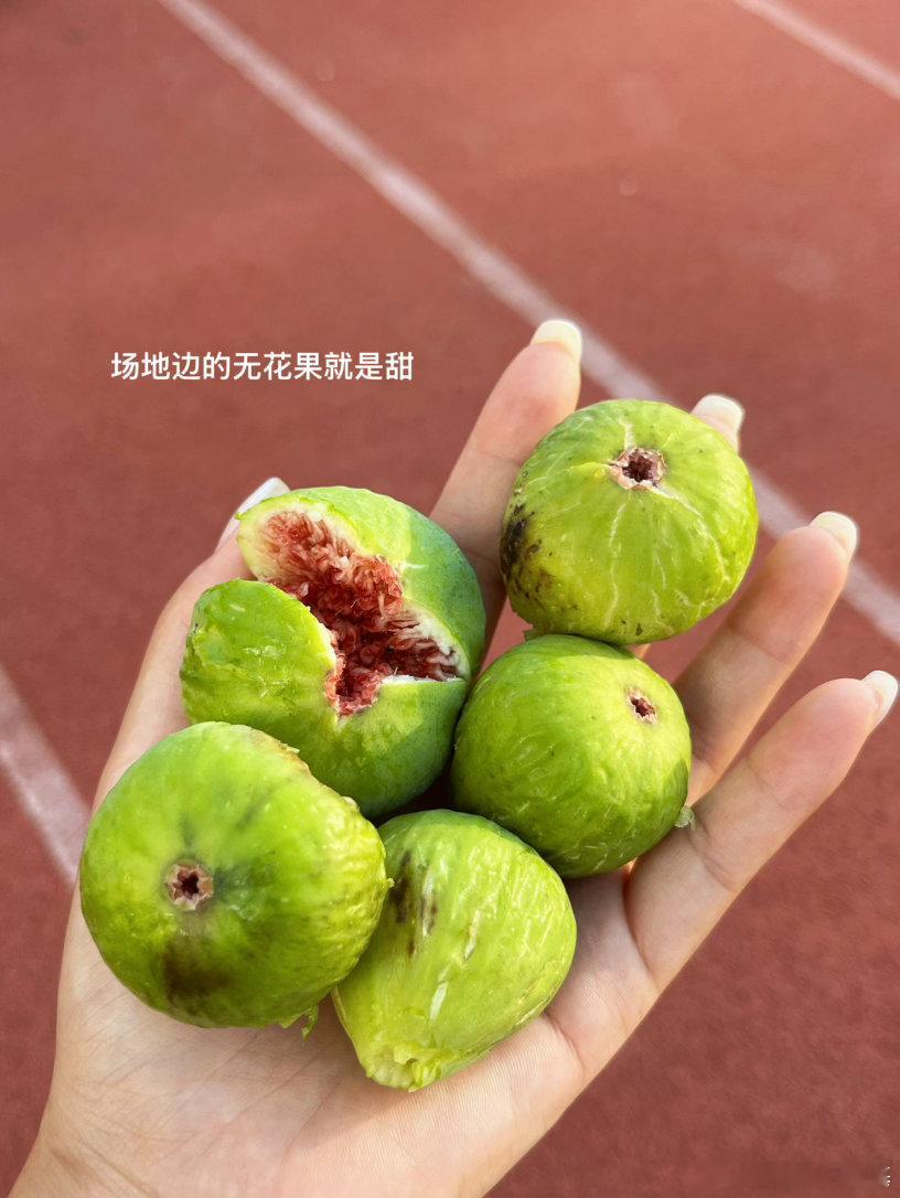 姨妈前的食欲真的不可估量！！！   ​​​