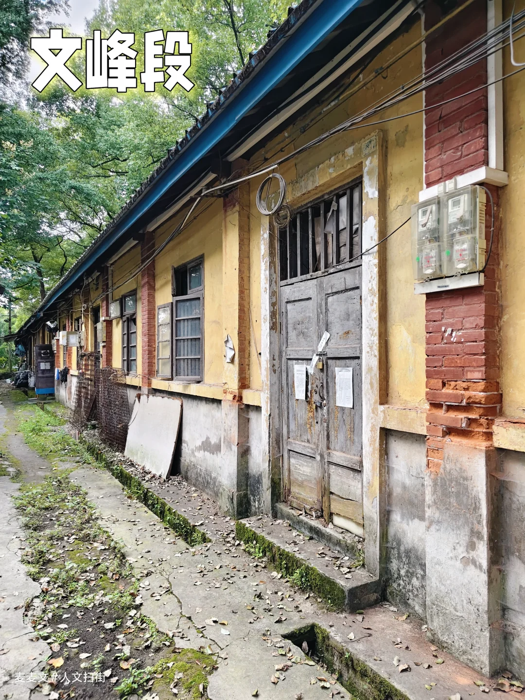 【南岸】藏了半个多世纪的铁路家属院秘境