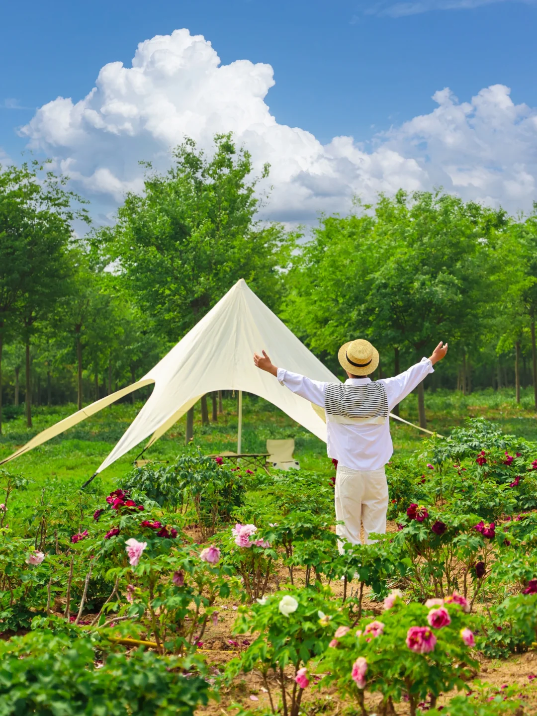 南京！你不宣传这里你糊涂啊。。小众宝藏地