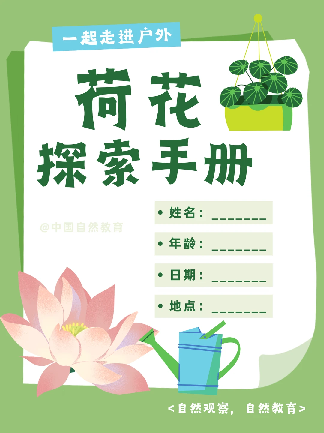 自然教育 | 从藕到花，荷花的变身之旅～