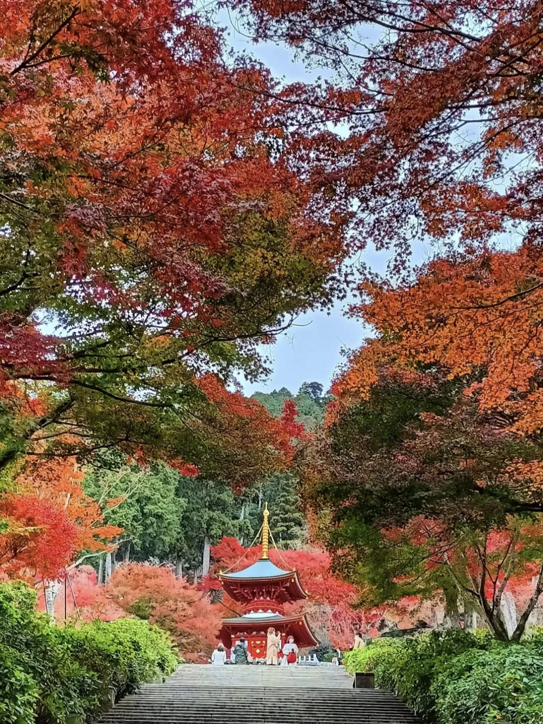 大阪30分钟｜箕面红叶季一点也不输京都