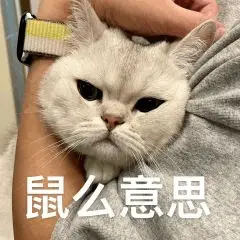 什么意思《什么意思夫妇》？！