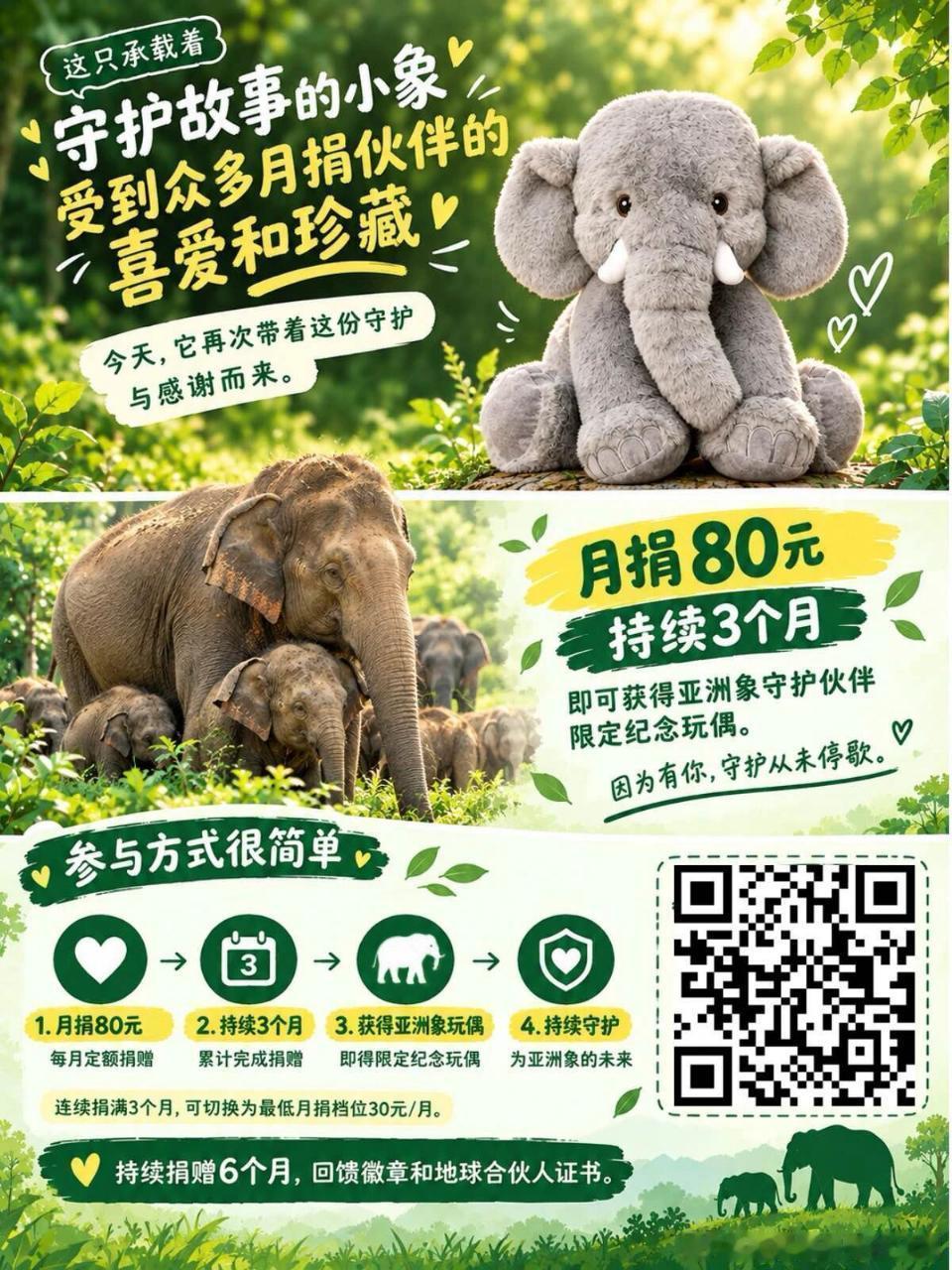 #朱一龙[超话]# 这只亚洲象玩偶超！级！可！爱！照片拍不出实物十分之一的可爱！私以为神似龙哥[可怜] 坐得端端正正的，好乖好乖[可怜]手感也非常好！毛很软抱着好舒服 ​