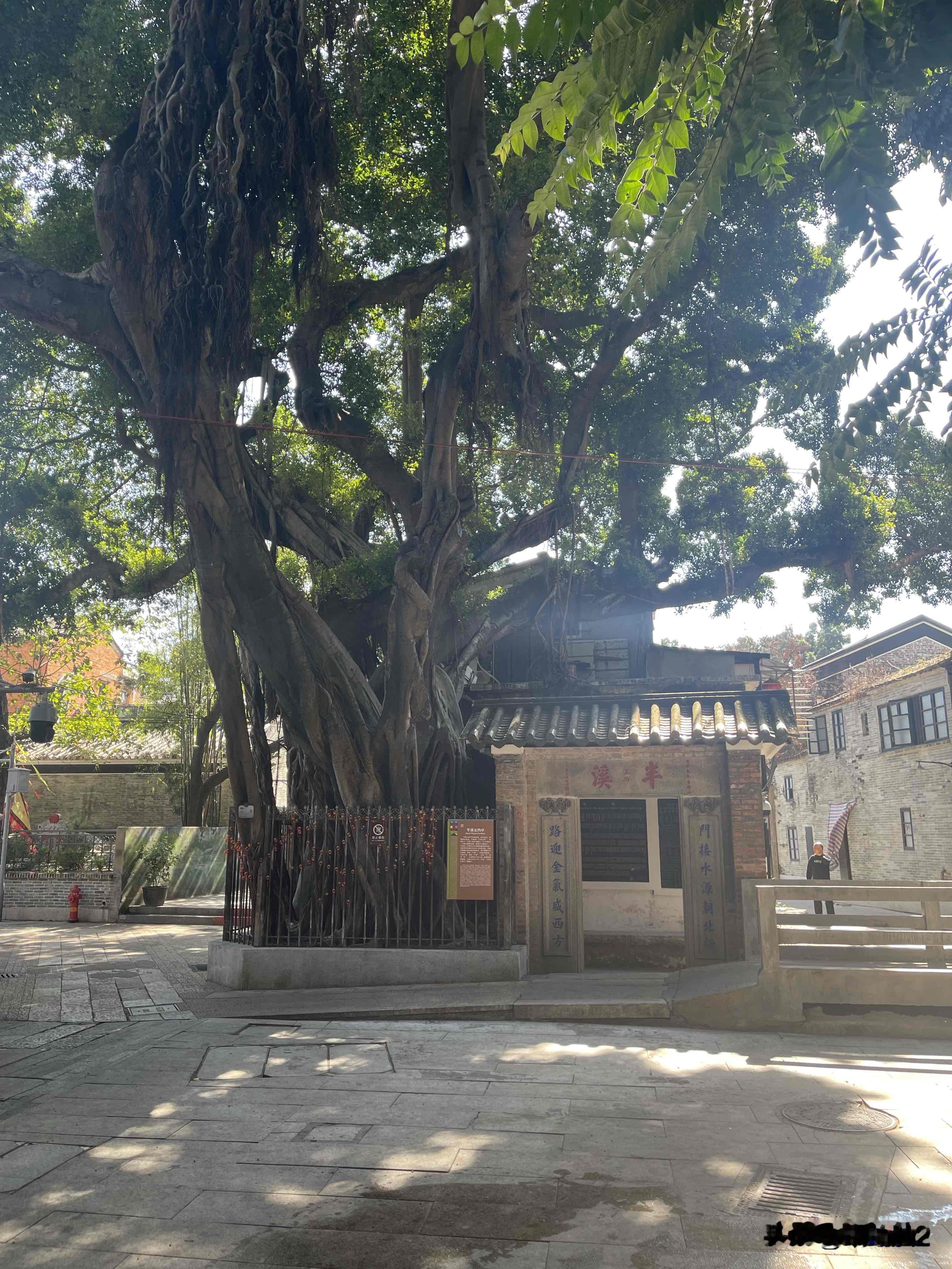 广州半溪五约亭，在荔湾湖公园附近的街区里，很不起眼的一个小亭子，藏在一...