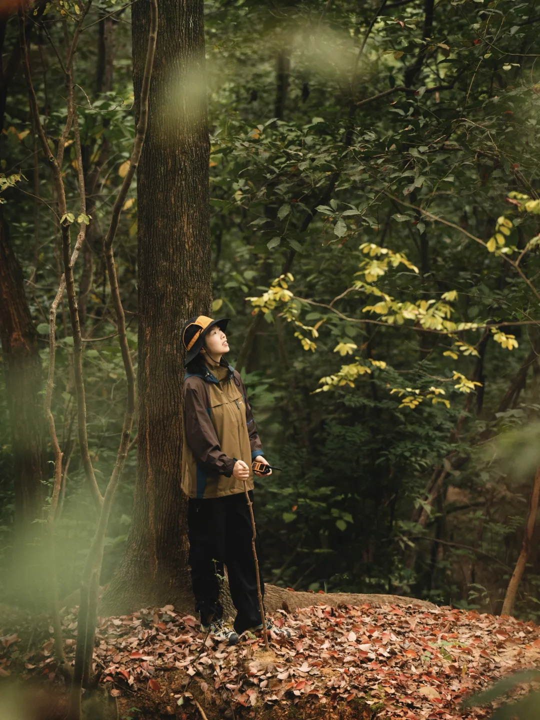 成都周边半小时｜适合徒步的宝藏森林🍂