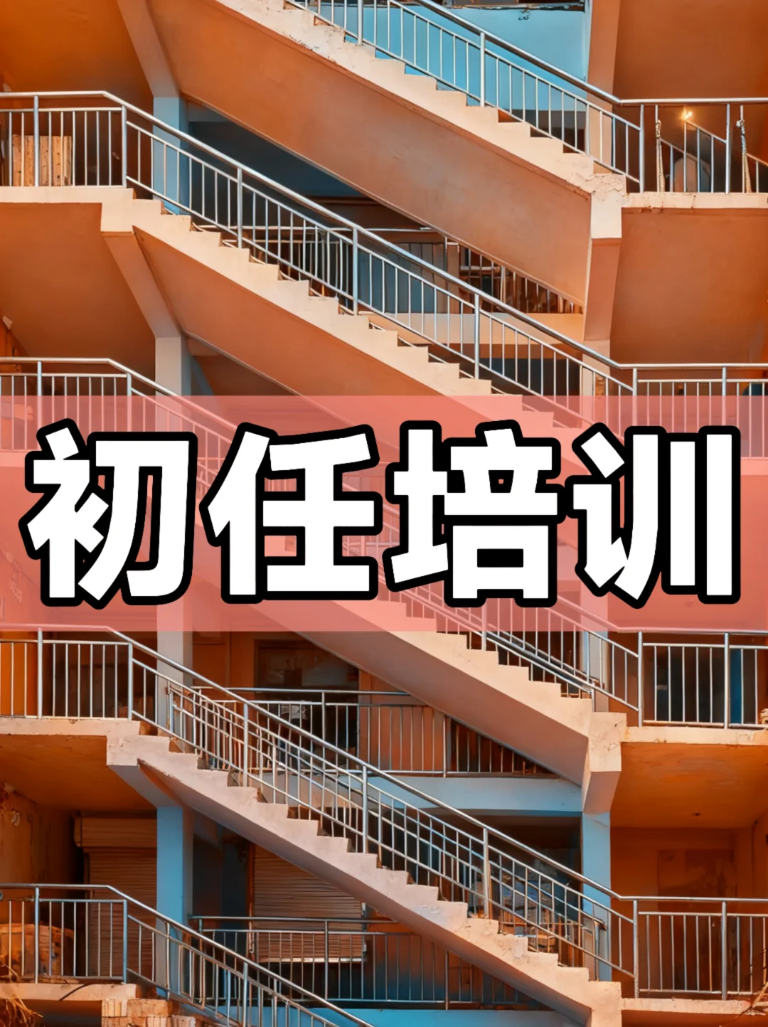 体制内：初任培训