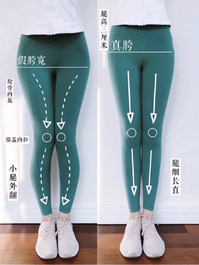每天半个小时，半个月还你筷子腿、小鸟腿，做一个精致的猪猪女孩，赶快行动...