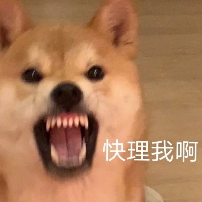 是一份表情包呀。