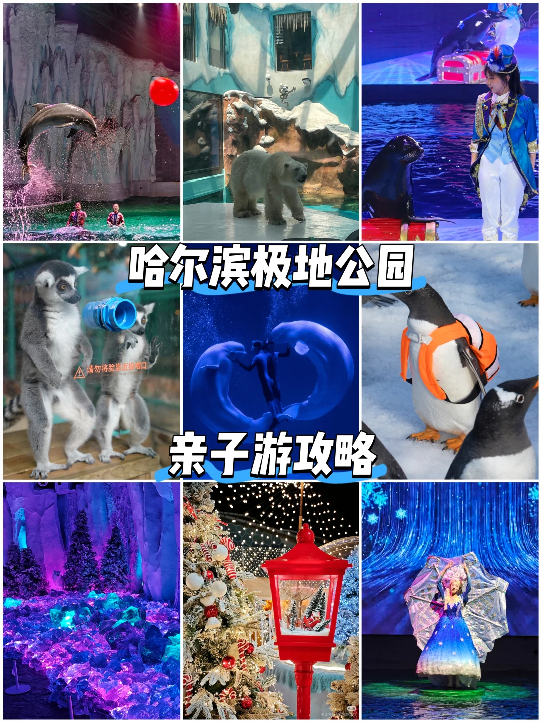 不止冰雪大世界，极地公园才是冬日BI看