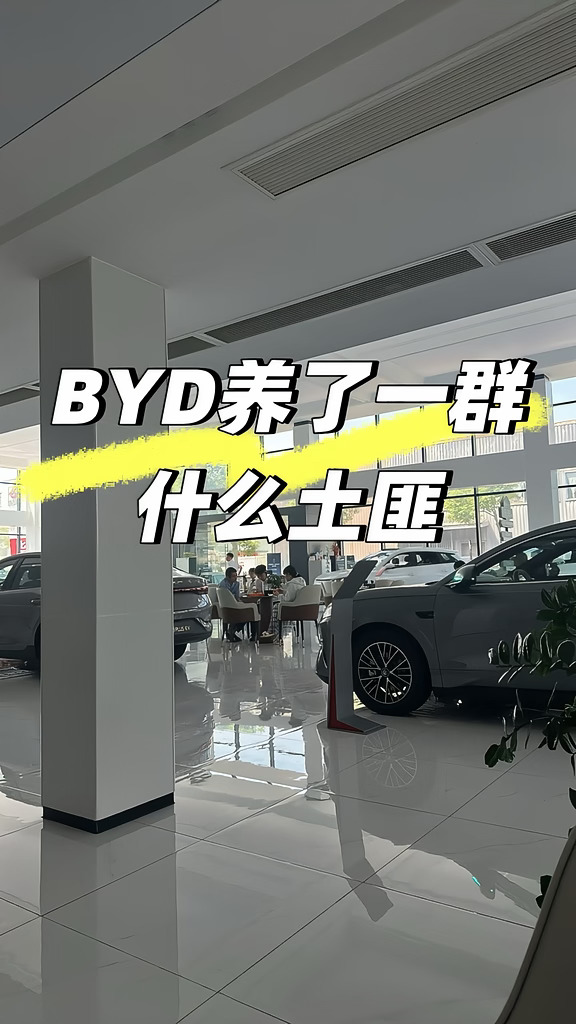 比亚迪维权