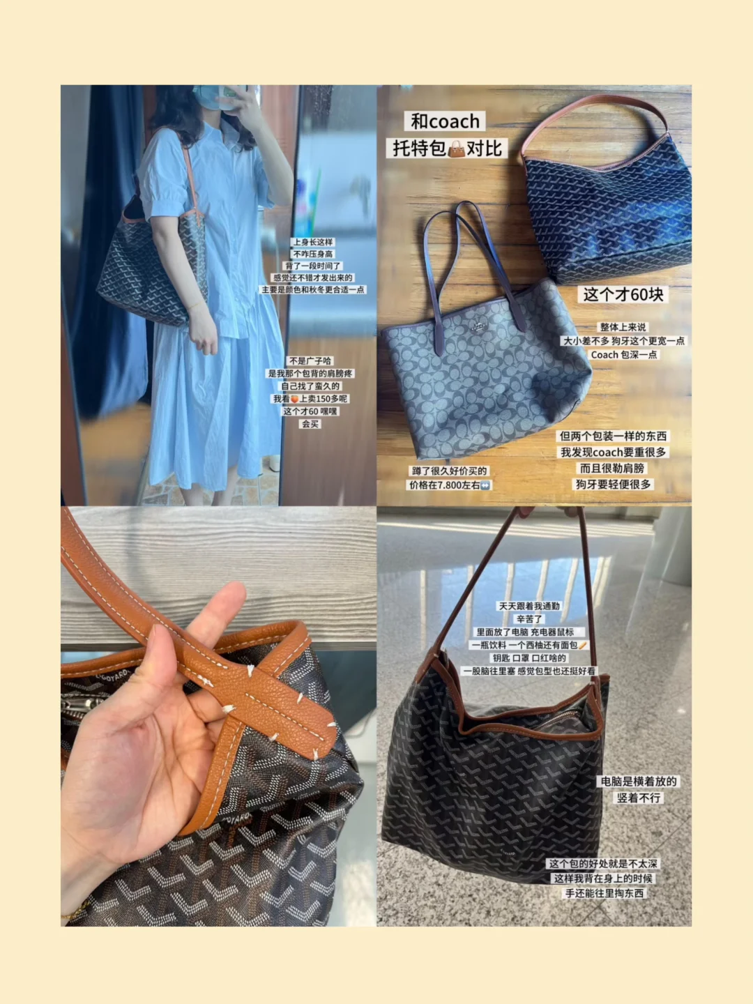 💰60块的狗牙👜也太绝了！(非广