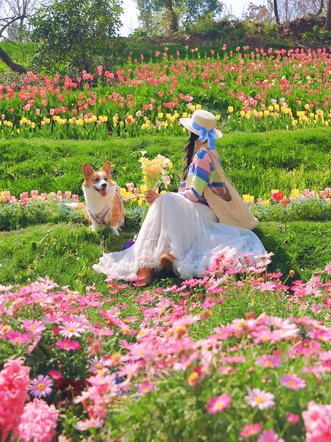 live图|杭州春天的莫奈花园🌷美得不像话