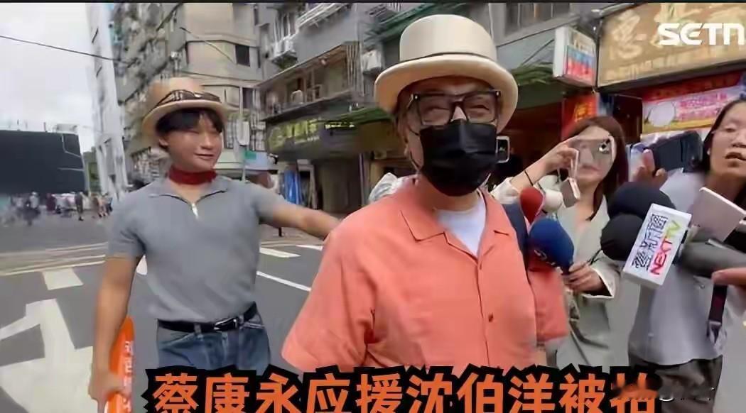 大家看看这位神神秘秘，半遮琵琶半遮面的人是谁？不错，就是台湾艺人蔡康永，10月4号公然出席台独顽固分子沈伯洋所谓竞选总部成立大会，影响恶劣。

凭借和小S联合主持《康熙来了》积累的知名度，通过参加各种综艺活动、出书卖课、广告代言，在内地赚得盆满钵满，转过头来，就明目张胆为台独顽固分子站台、呐喊助威，
