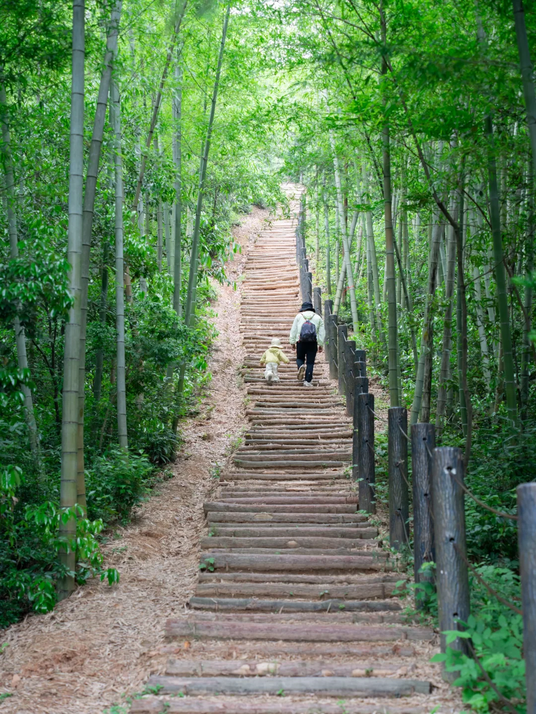 杭州最友好的亲子徒步路线❗️竹林水库超美