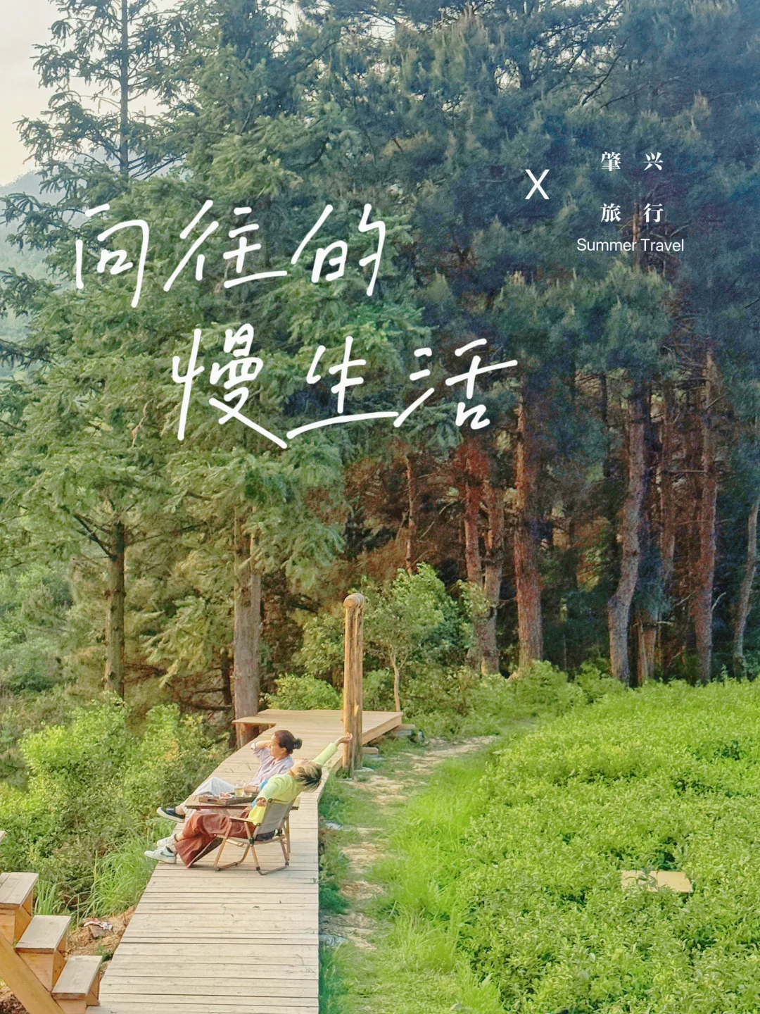 奔赴向往的生活🌿坐高铁4小时去喝茶值得吗？