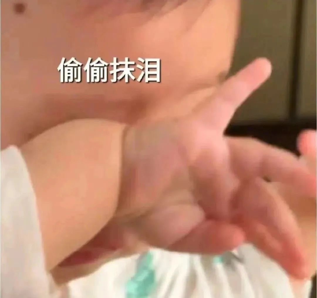 又到了存表情包的快乐时间！