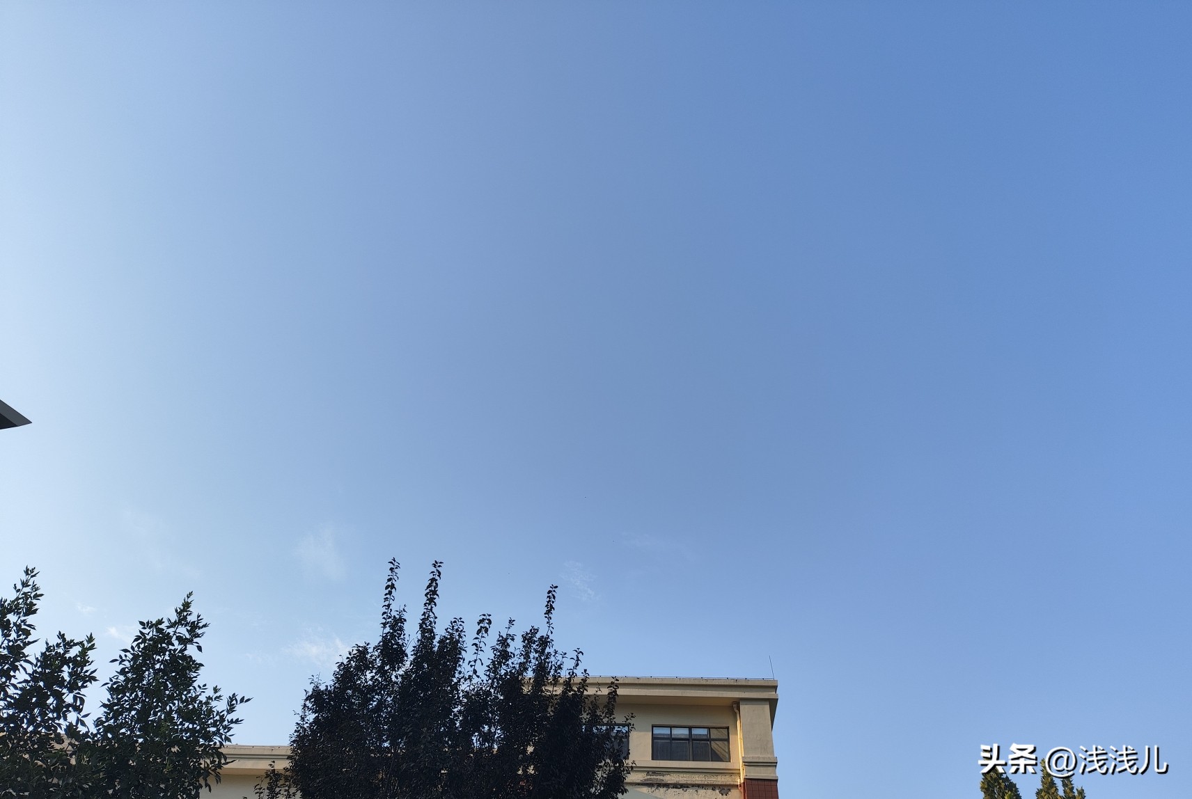 现在全网都在指责张家齐的妈妈，但同样作为母亲，有些观点我是认同她妈妈的。

我平时不怎么看综艺类节目，但最近看到好多人都在讨论张家齐和她妈妈的相处方式。

我从网上看了一些大家讨论比较多的片段，说真的，网友对张妈妈的言辞过于激烈了。

首先，大家仅仅从视频片段中的几句换就判断张妈妈一家在啃小，说什么