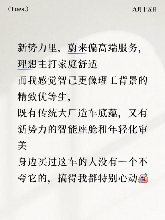 智己在汽车界相当于什么？