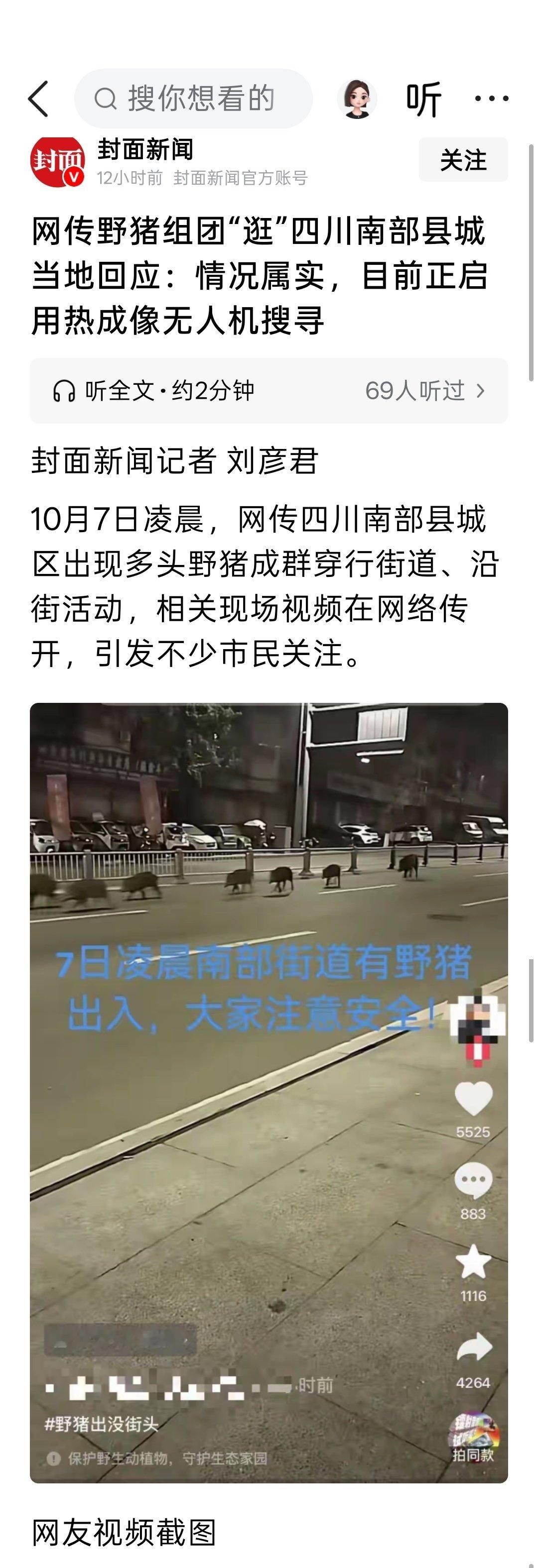 网传野猪组团“逛”四川南部县城 当地回应：情况属实，目前正启用热成像无人机搜寻。
野猪集体上街，难道是因为野外不好觅食，想变成家猪吗？ ​