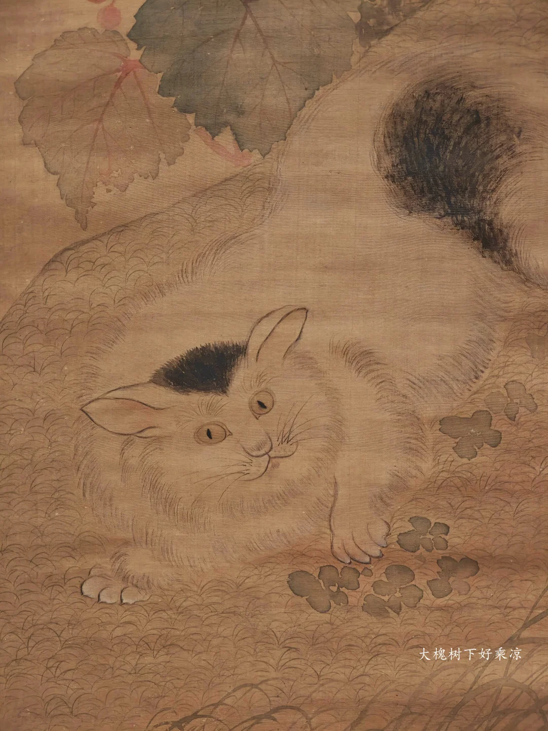国博看展——《狸猫图》