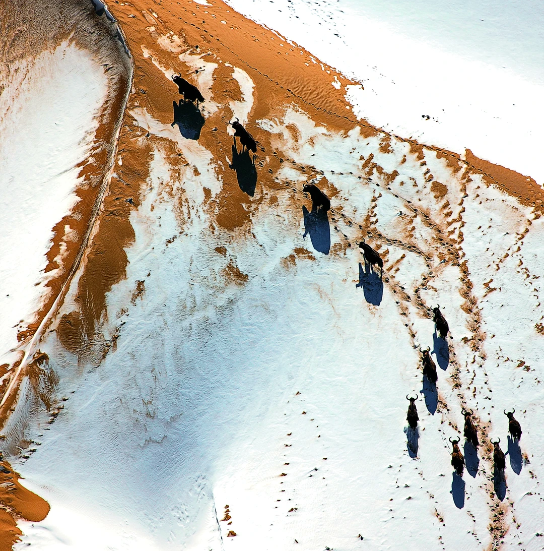 小雪时节欣赏小雪