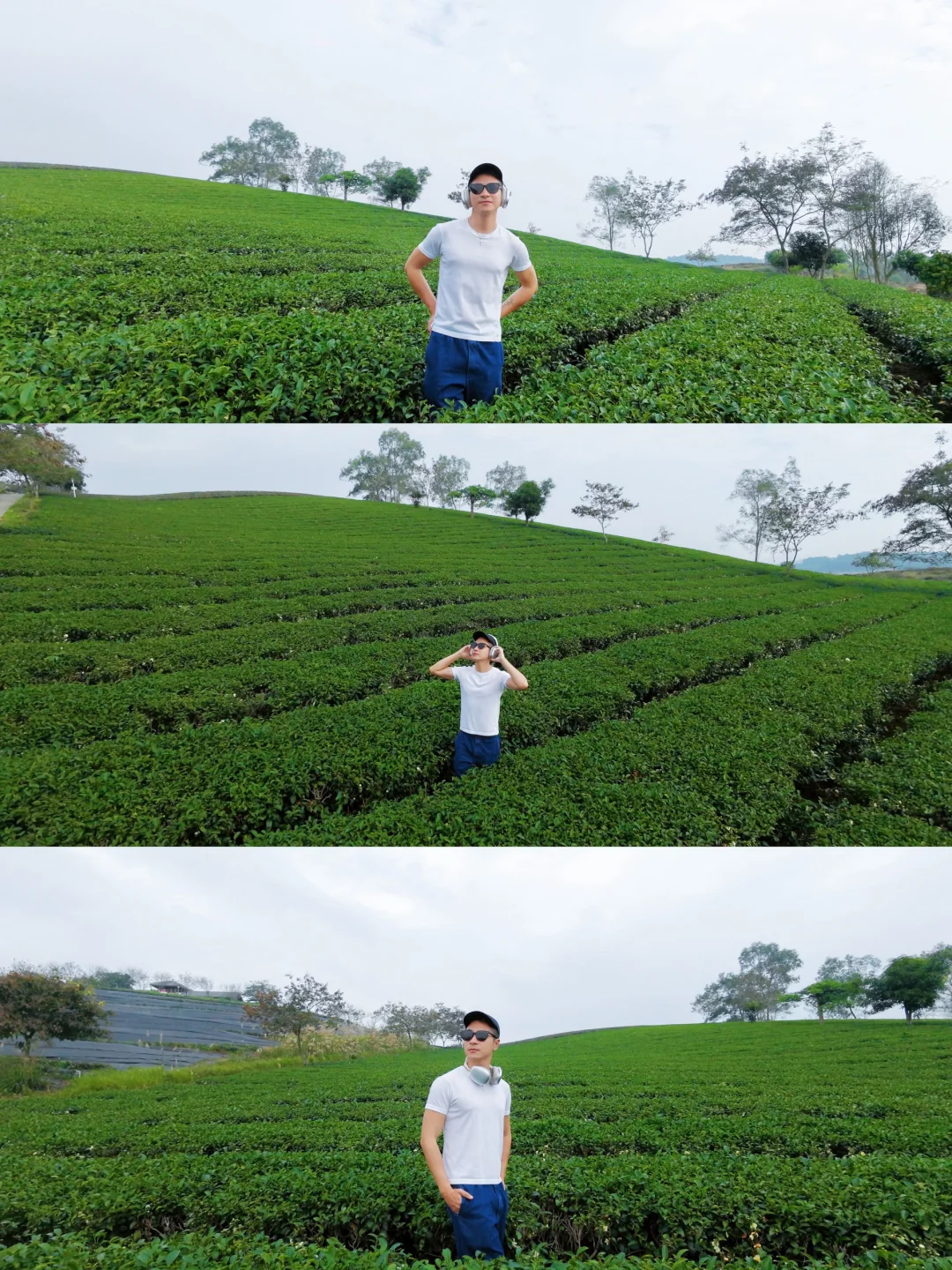 上林3天2夜慢节奏感受微度假攻略