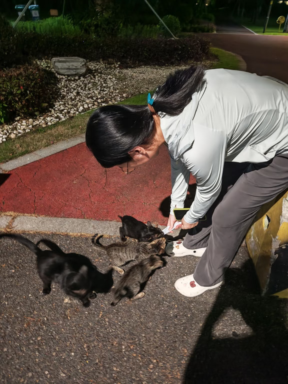 跑步偶遇小野猫，大美一家首次见到金主妈妈