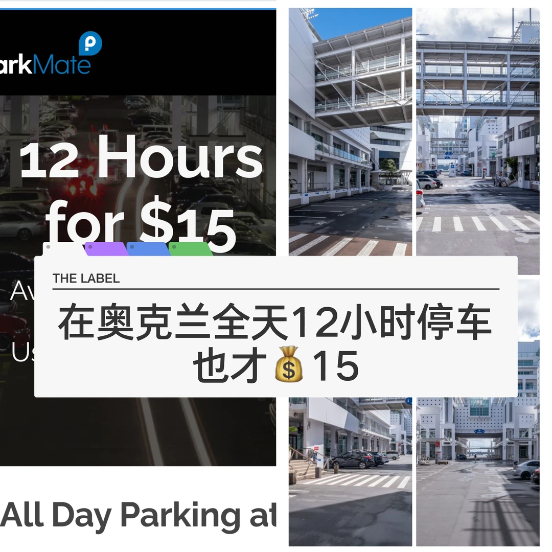 🇳🇿奥克兰停车超划算 全天停车只需💰15！