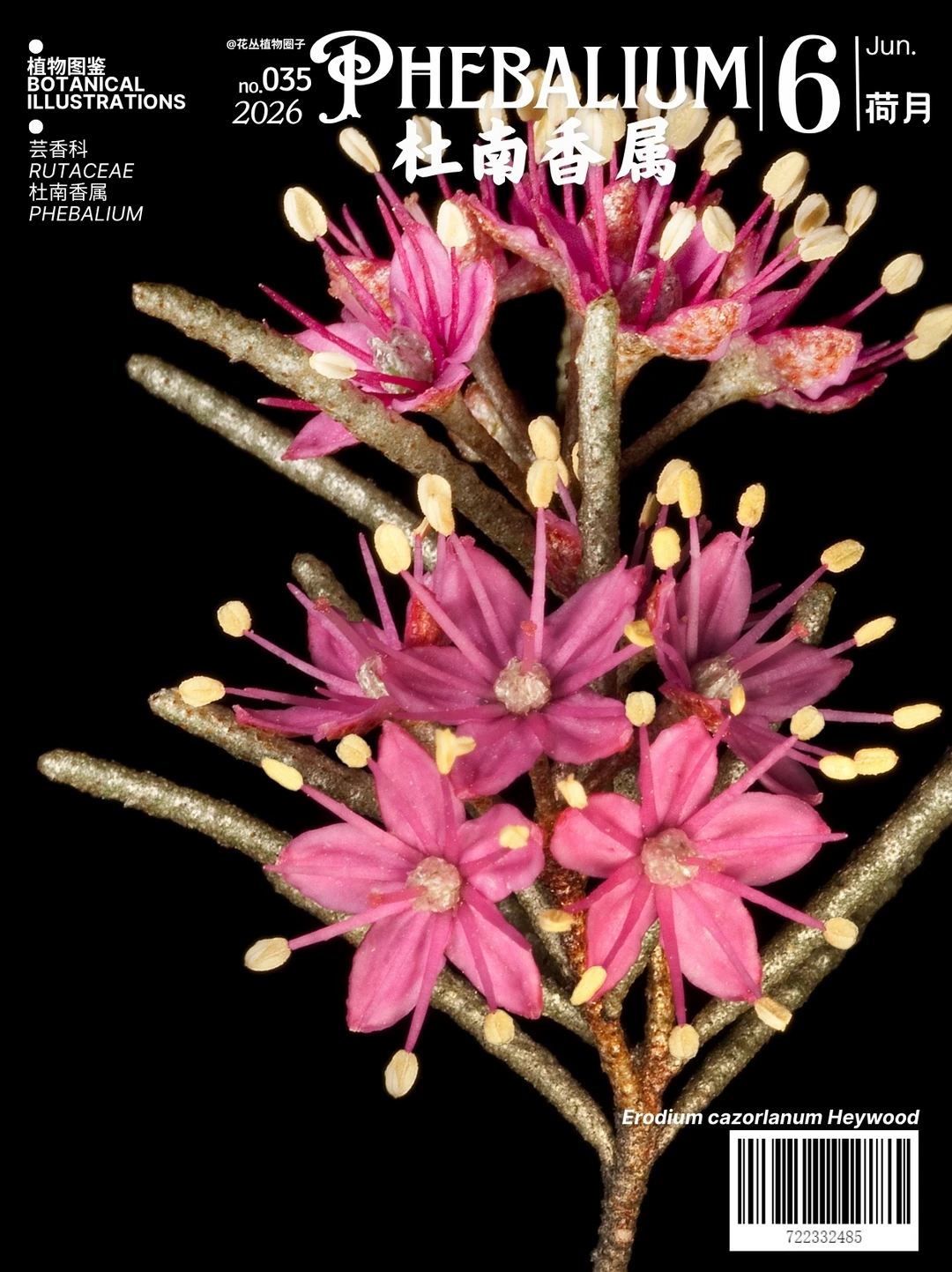 杜南香属Phebalium