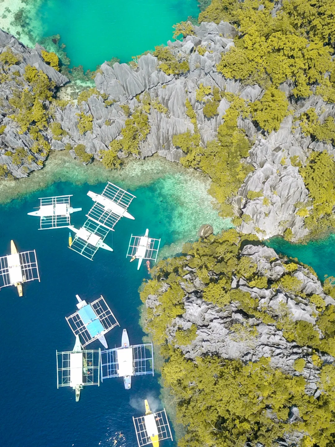 菲律宾🇵🇭·上帝视角图集·科隆镇