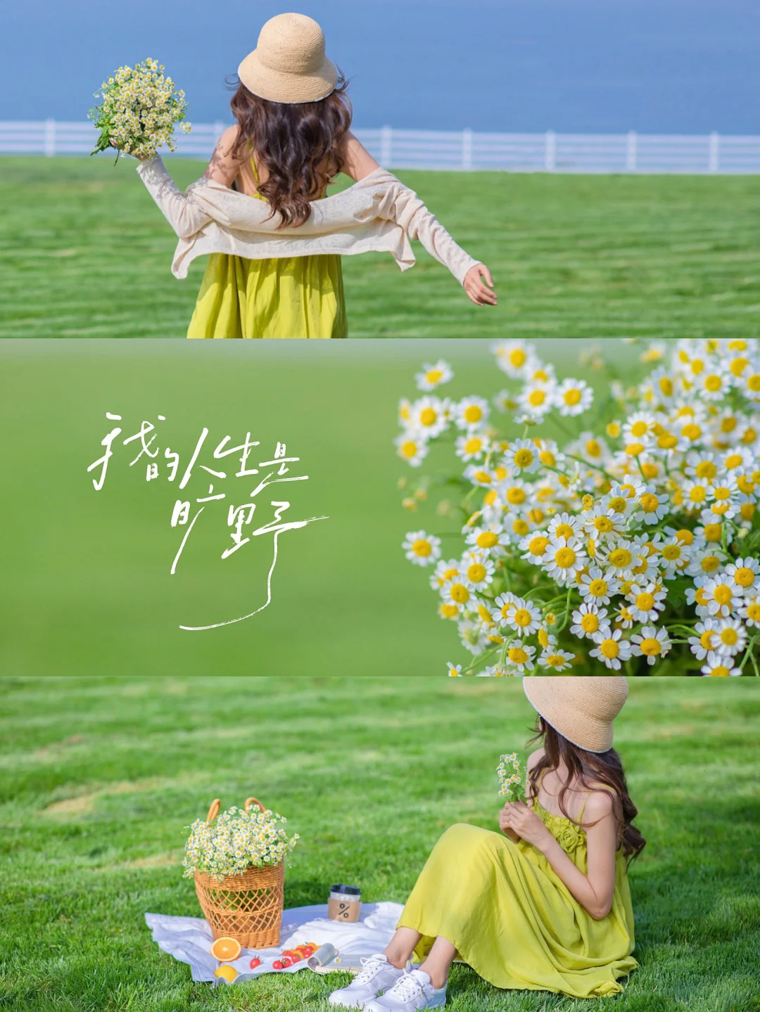 这个滤镜太适合记录日常啦|拍照调色教程