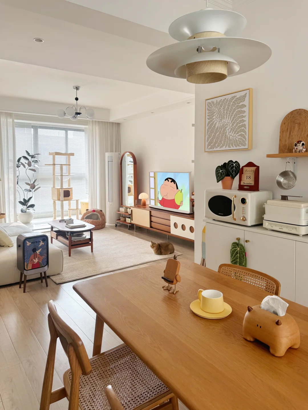 普通人的70平小家，32岁一个人住超快乐✌️