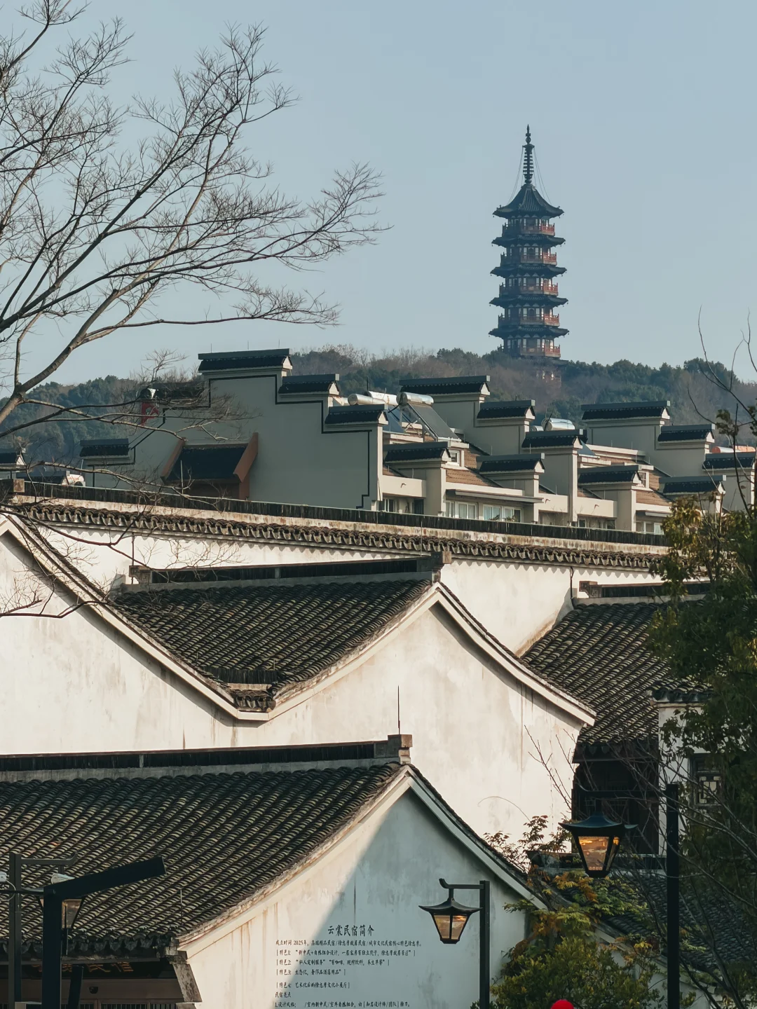 海宁一日游|宁波自驾出发|逛吃路线分享