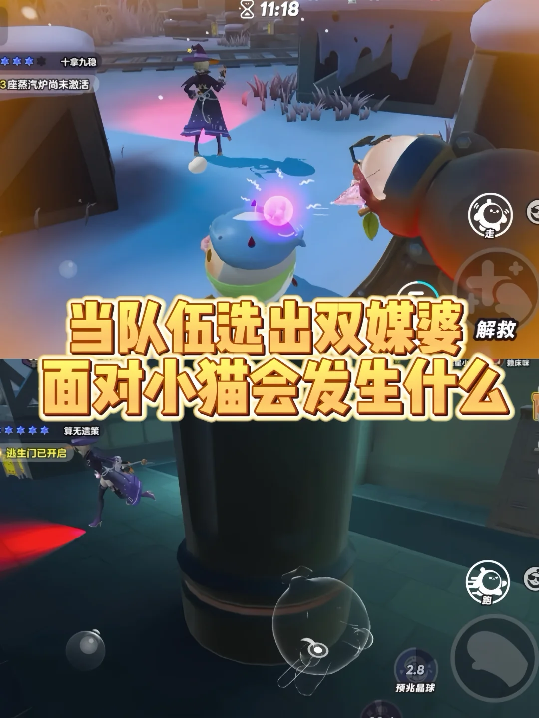 一不小心选出双媒婆，面对小猫会发生什么