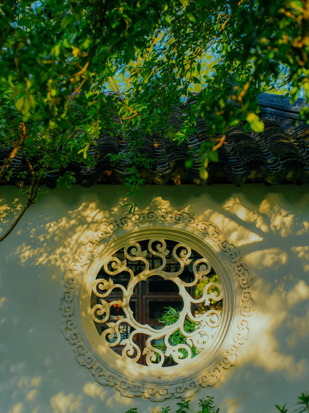 人真的会反反复复爱上园林的斑驳光影✨️