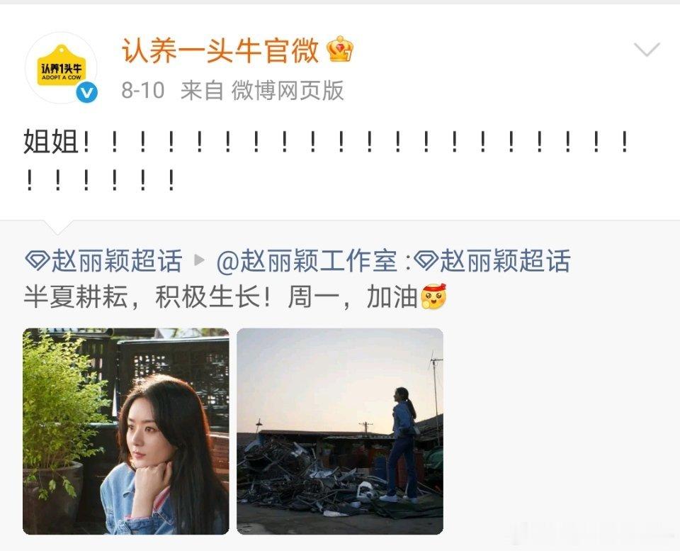 我就说从八月开始，牛牛就一直在铺垫什么，原来是真请到了赵丽颖，它的姐姐出山[笑cry][笑cry][笑cry] ​