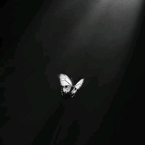 月亮不会奔向梦