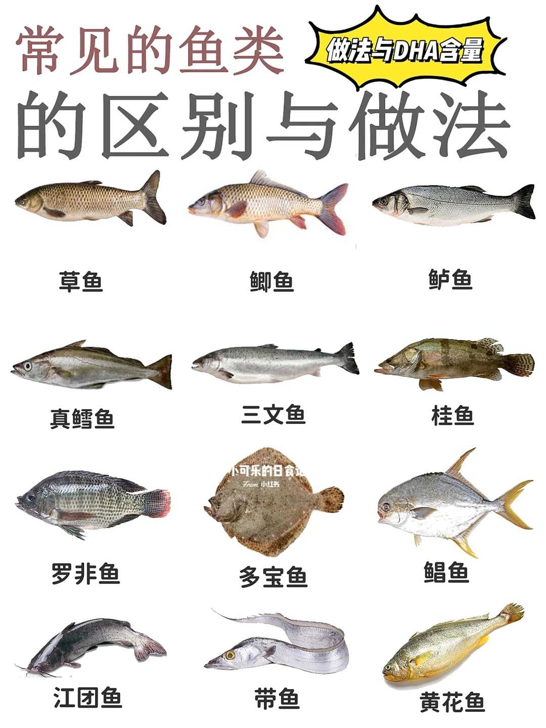 鱼类说明书‼️常见鱼🐠的区别营养价值和做法