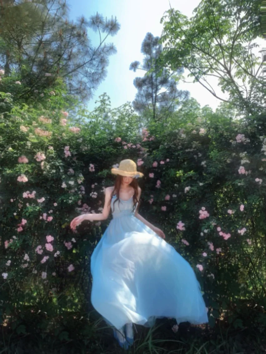 🦋春令时𐙚 ⁺₊⋆