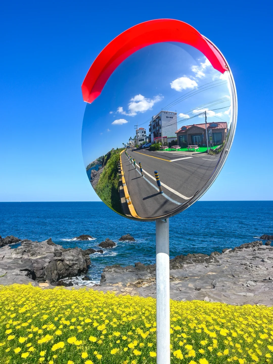 离开济州岛的后劲比苦尽柑来结局还大～