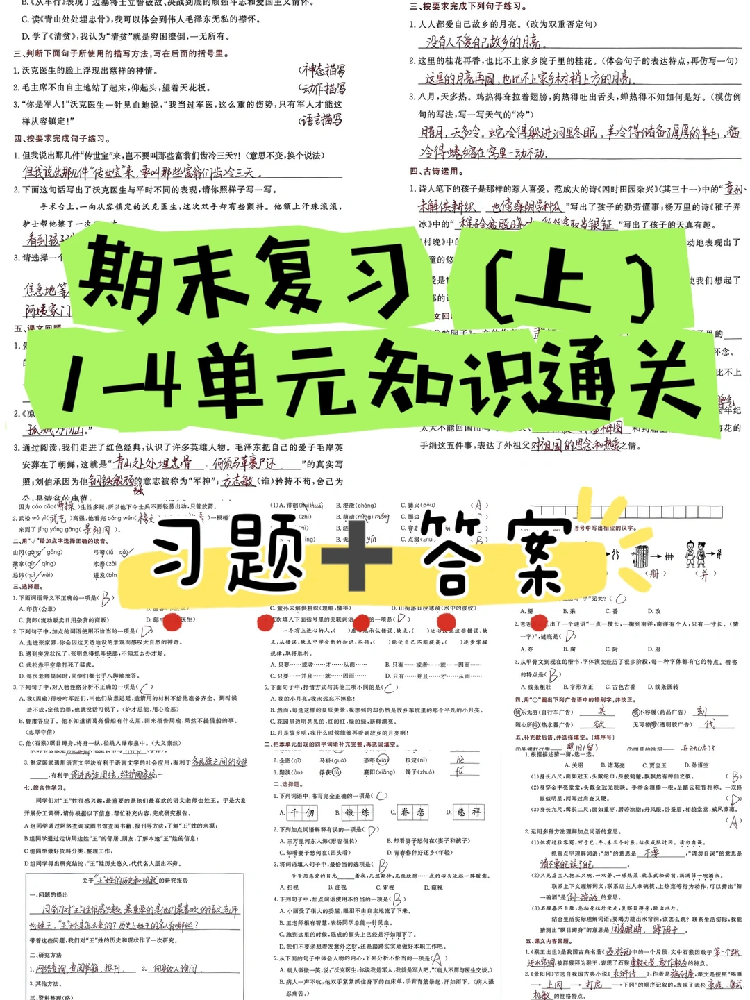 2024年五下语文｜期末复习（上）1−4单元