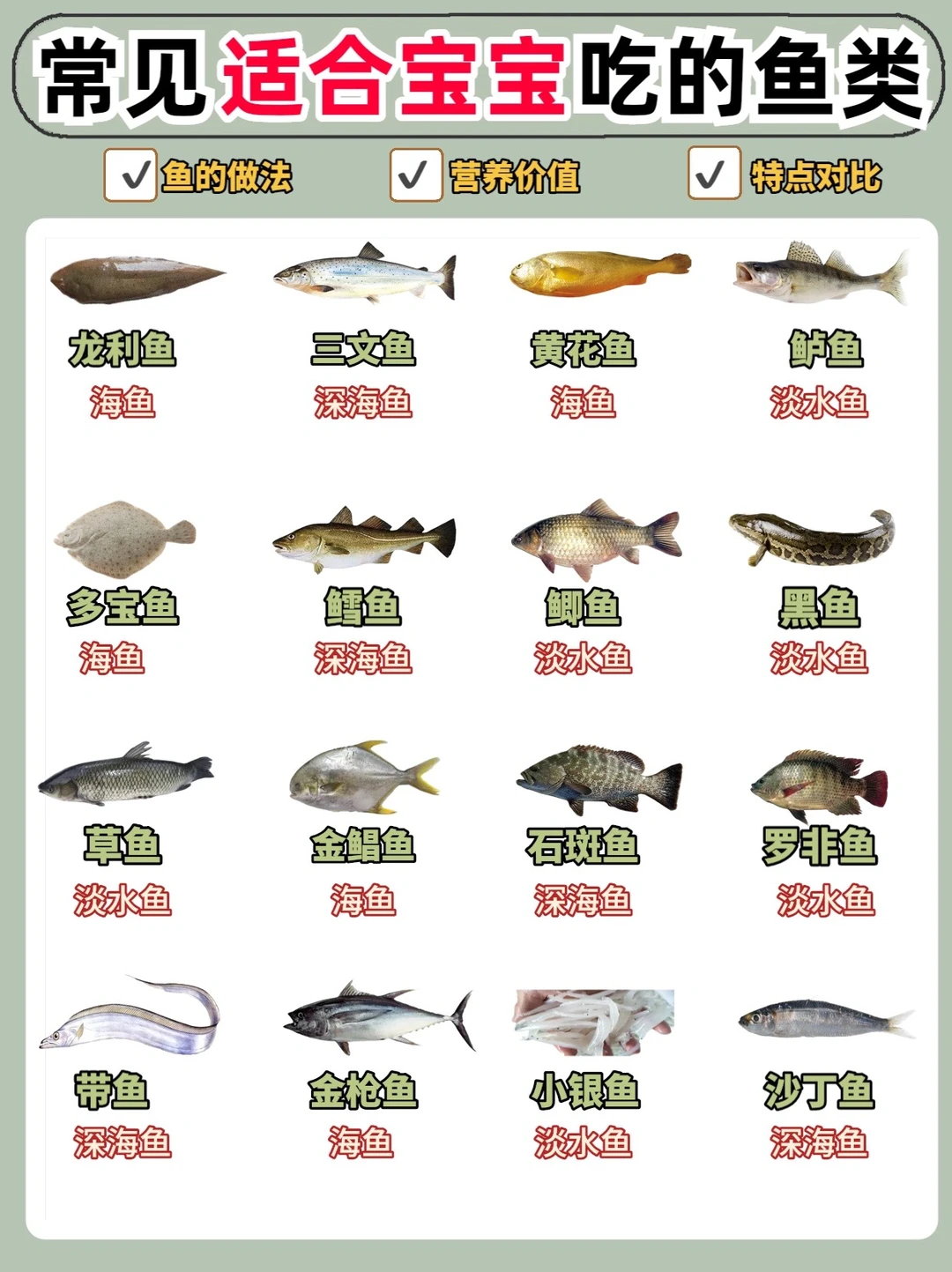 🐟常见宝宝吃的鱼类｜越吃越聪明👍